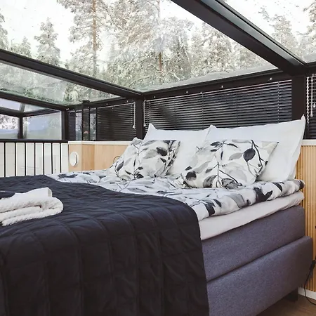 Glass Ceiling Kipinae *